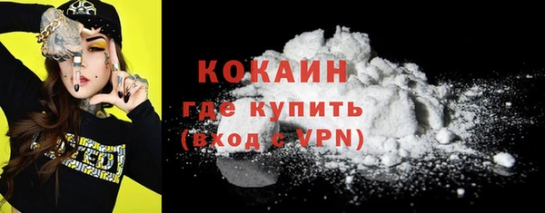 прущие грибы Гусь-Хрустальный