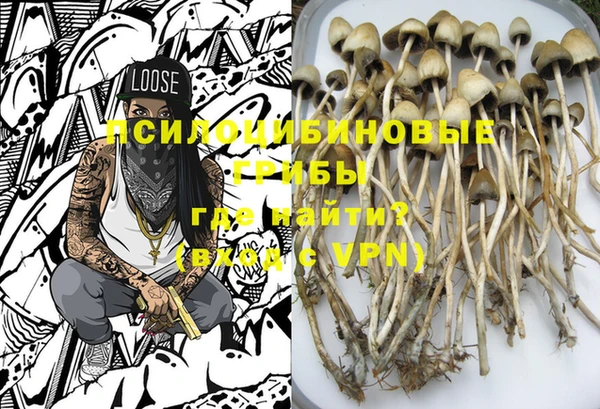 PSILOCYBIN Беломорск