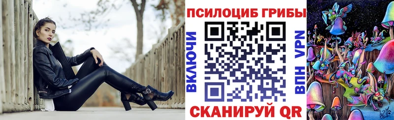 даркнет телеграм  Заозёрск  Псилоцибиновые грибы мицелий  цены наркотик 